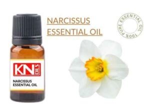 NARCISSUS ESSENTIAL OIL