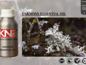 OAKMOSS ESSENTIAL OIL