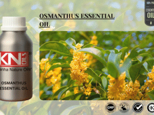 OSMANTHUS ESSENTIAL OIL