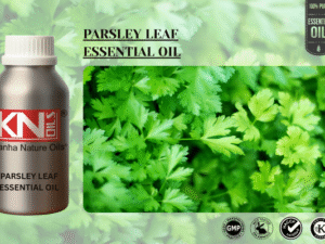 PARSLEY LEAF ESSENTIAL OIL