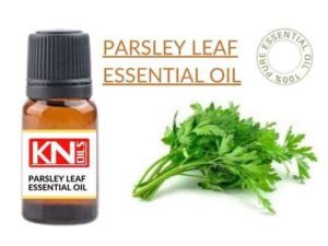 PARSLEY LEAF ESSENTIAL OIL