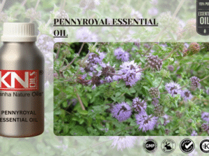 PENNYROYAL ESSENTIAL OIL