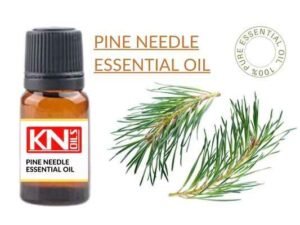 PINE NEEDLE ESSENTIAL OIL