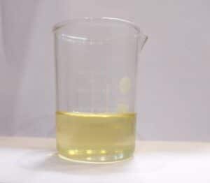 PINUS MUGO ESSENTIAL OIL