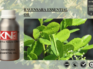 RAVENSARA ESSENTIAL OIL
