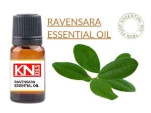 RAVENSARA ESSENTIAL OIL