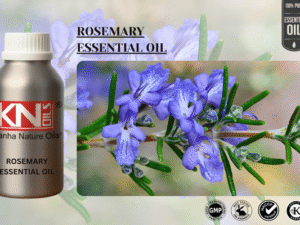 ROSEMARY ESSENTIAL OIL