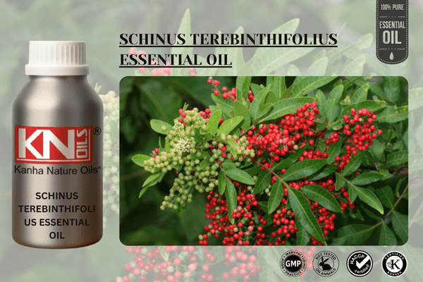 SCHINUS TEREBINTHIFOLIUS ESSENTIAL OIL