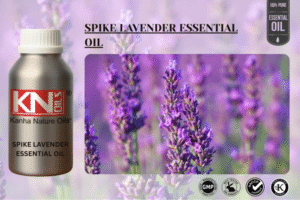SPIKE LAVENDER ESSENTIAL OIL