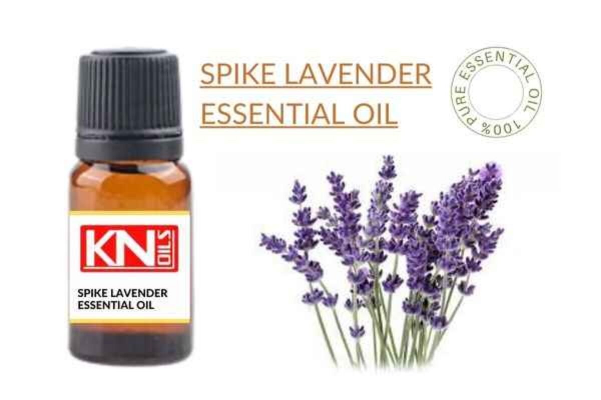 SPIKE LAVENDER ESSENTIAL OIL - Buy 100% Pure ESSENTIAL OIL from