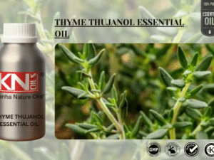 THYME THUJANOL ESSENTIAL OIL