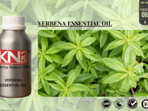 VERBENA ESSENTIAL OIL