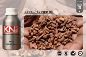 NEEM CARRIER OIL