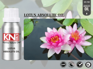 LOTUS ABSOLUTE OIL