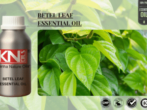 BETEL LEAF ESSENTIAL OIL
