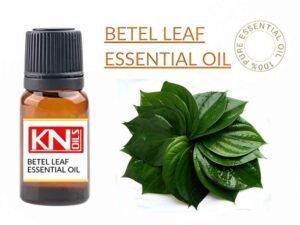 BETEL LEAF ESSENTIAL OIL