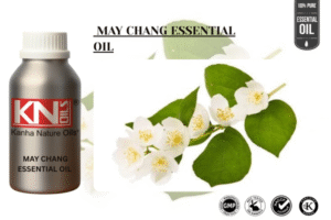 MAY CHANG ESSENTIAL OIL