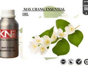 MAY CHANG ESSENTIAL OIL