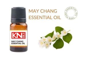 MAY CHANG ESSENTIAL OIL