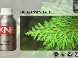 THUJA ESSENTIAL OIL