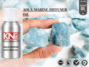 AQUA MARINE DIFFUSER OIL