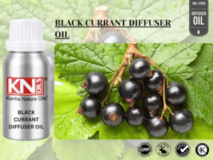 BLACK CURRANT DIFFUSER OIL