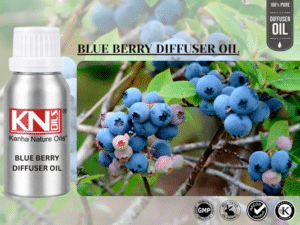 BLUE BERRY DIFFUSER OIL
