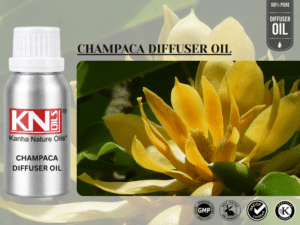 CHAMPACA DIFFUSER OIL