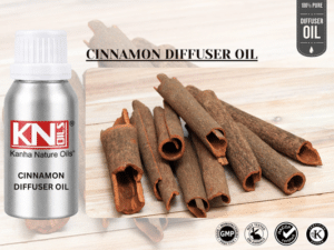 CINNAMON DIFFUSER OIL