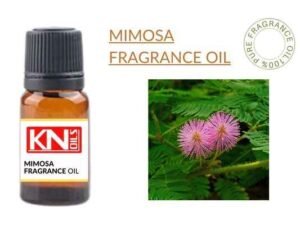 MIMOSA FRAGRANCE oil