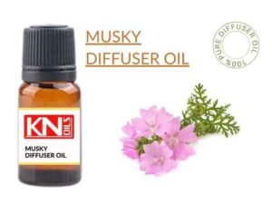 MUSKY DIFFUSER OIL