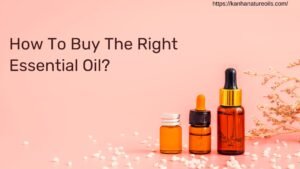 How To Buy The Right Essential Oil?
