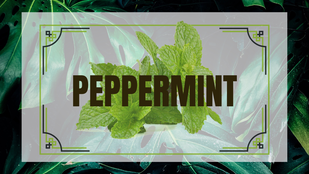 Peppermint Essential Oil for Beard