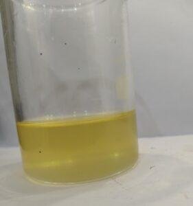 ALOE VERA CARRIER OIL