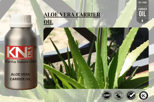 ALOE VERA CARRIER OIL
