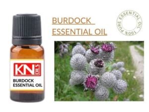 BURDOCK ESSENTIAL OIL