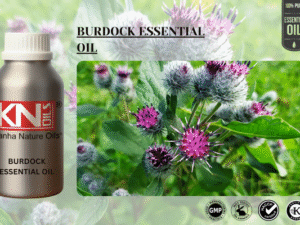 BURDOCK ESSENTIAL OIL