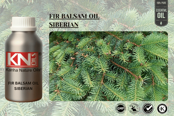 FIR BALSAM OIL SIBERIAN