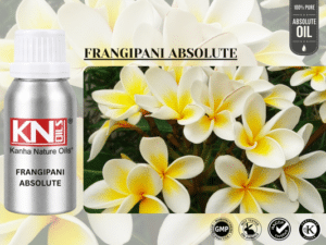 FRANGIPANI ABSOLUTE