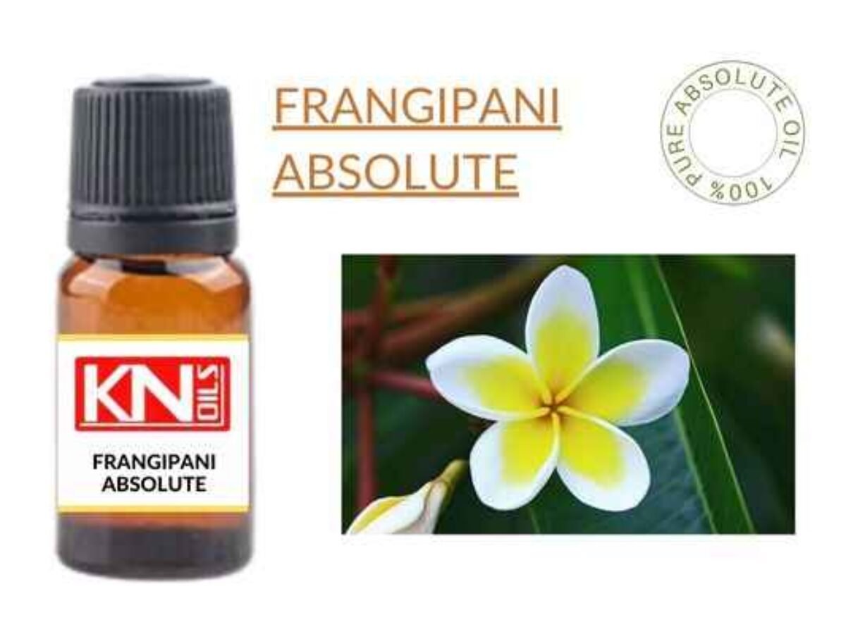 Frangipani Absolute Oil