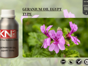 GERANIUM OIL EGYPT TYPE