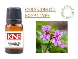 GERANIUM OIL EGYPT TYPE