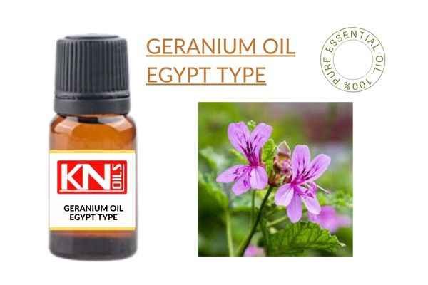GERANIUM OIL EGYPT TYPE