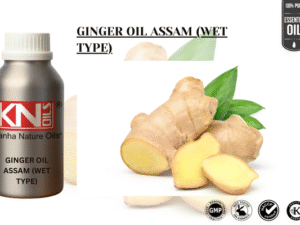 GINGER OIL ASSAM (WET TYPE)