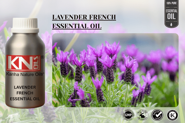 LAVENDER FRENCH ESSENTIAL OIL