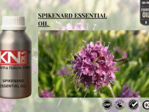 SPIKENARD ESSENTIAL OIL