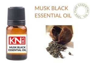 Musk Black Essential Oil