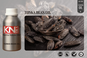 TONKA BEAN OIL