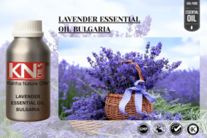 LAVENDER ESSENTIAL OIL BULGARIA