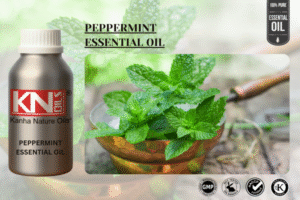 PEPPERMINT ESSENTIAL OIL